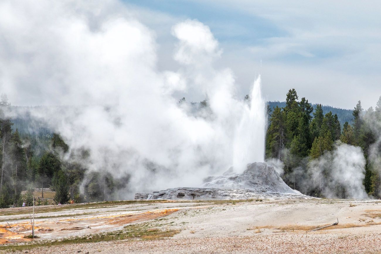 Castle Geyser