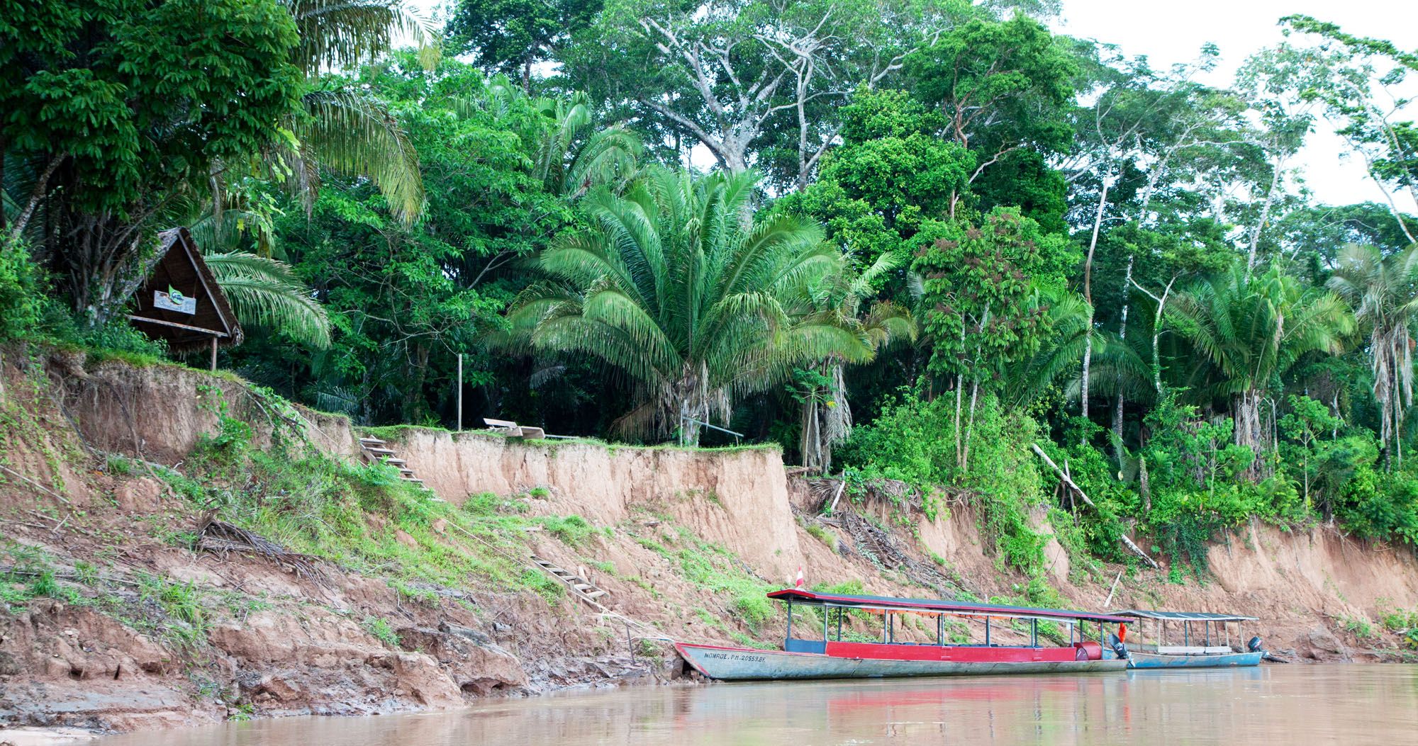 Featured image for “An Introduction to the Amazon Rainforest”