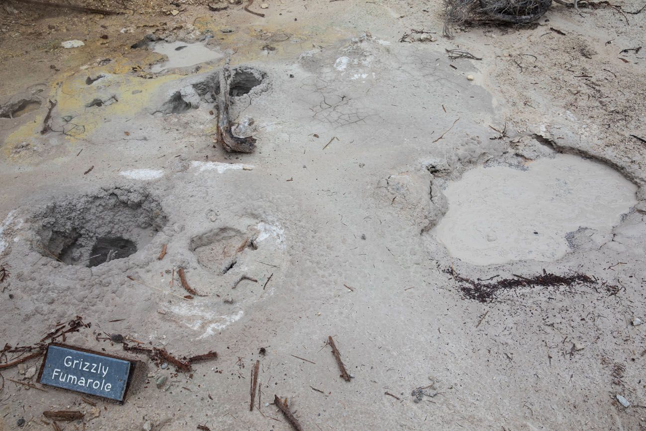 Mud Pots geyser basins in Yellowstone