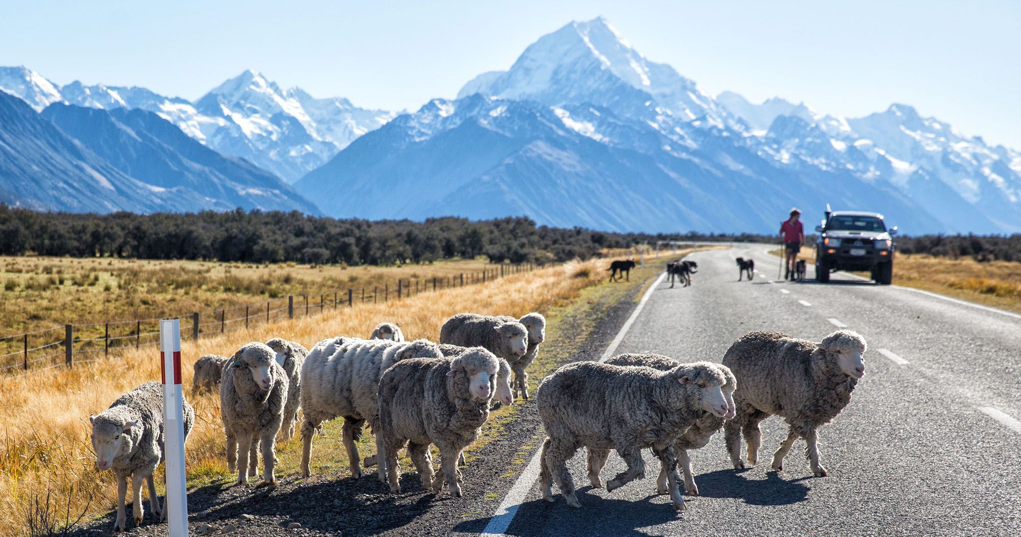 Featured image for “New Zealand: Photos from the Road”