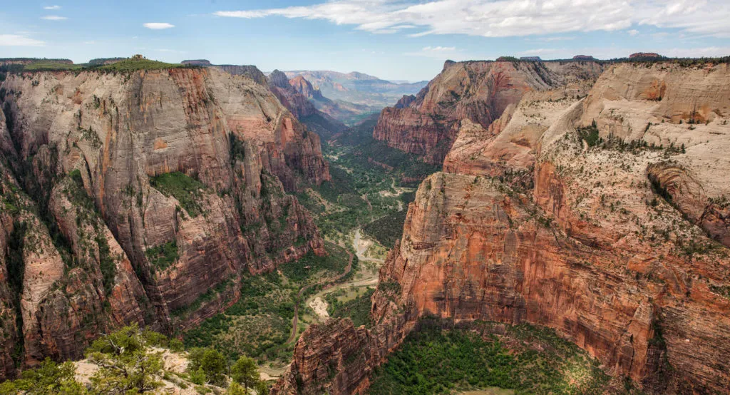 Observation Point Hike