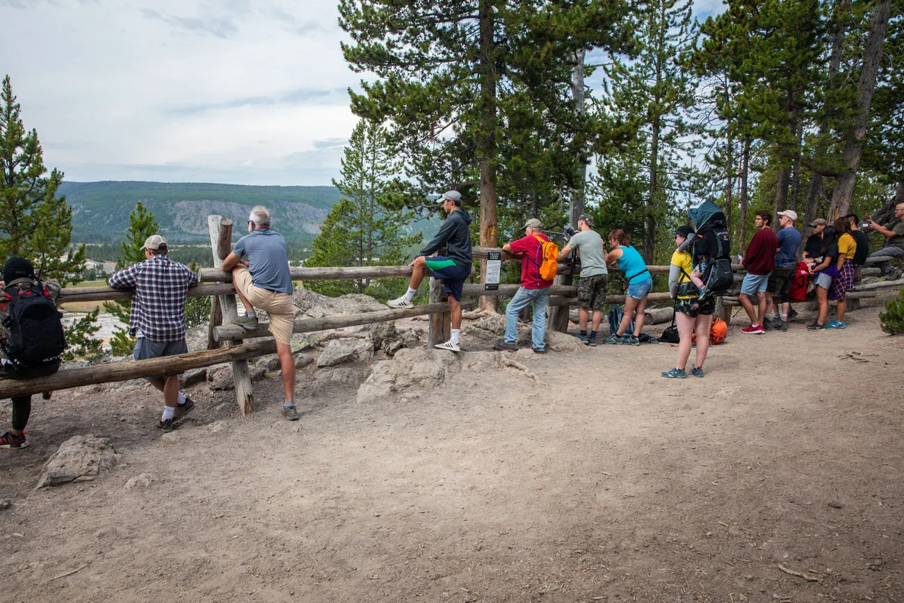 Observation Point Yellowstone