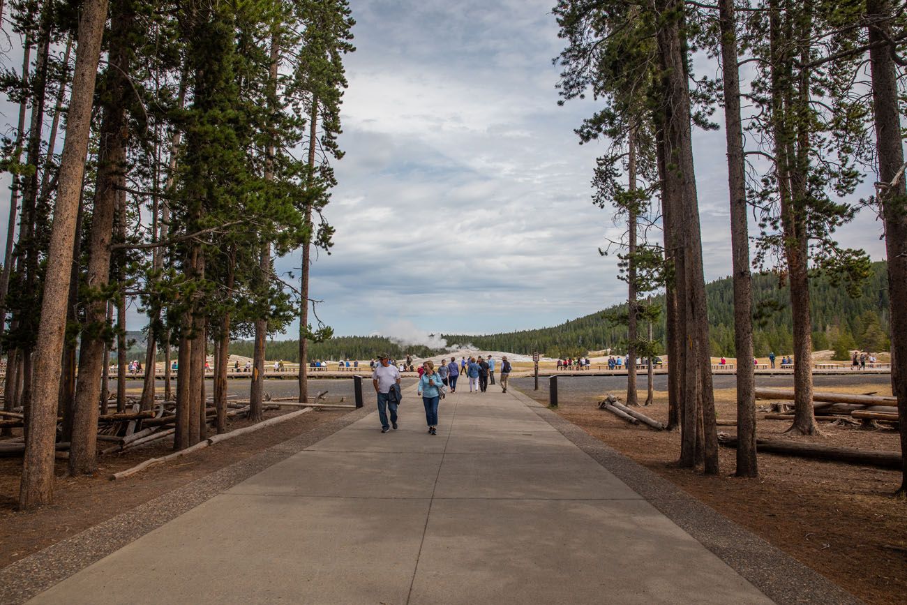 Old Faithful Area