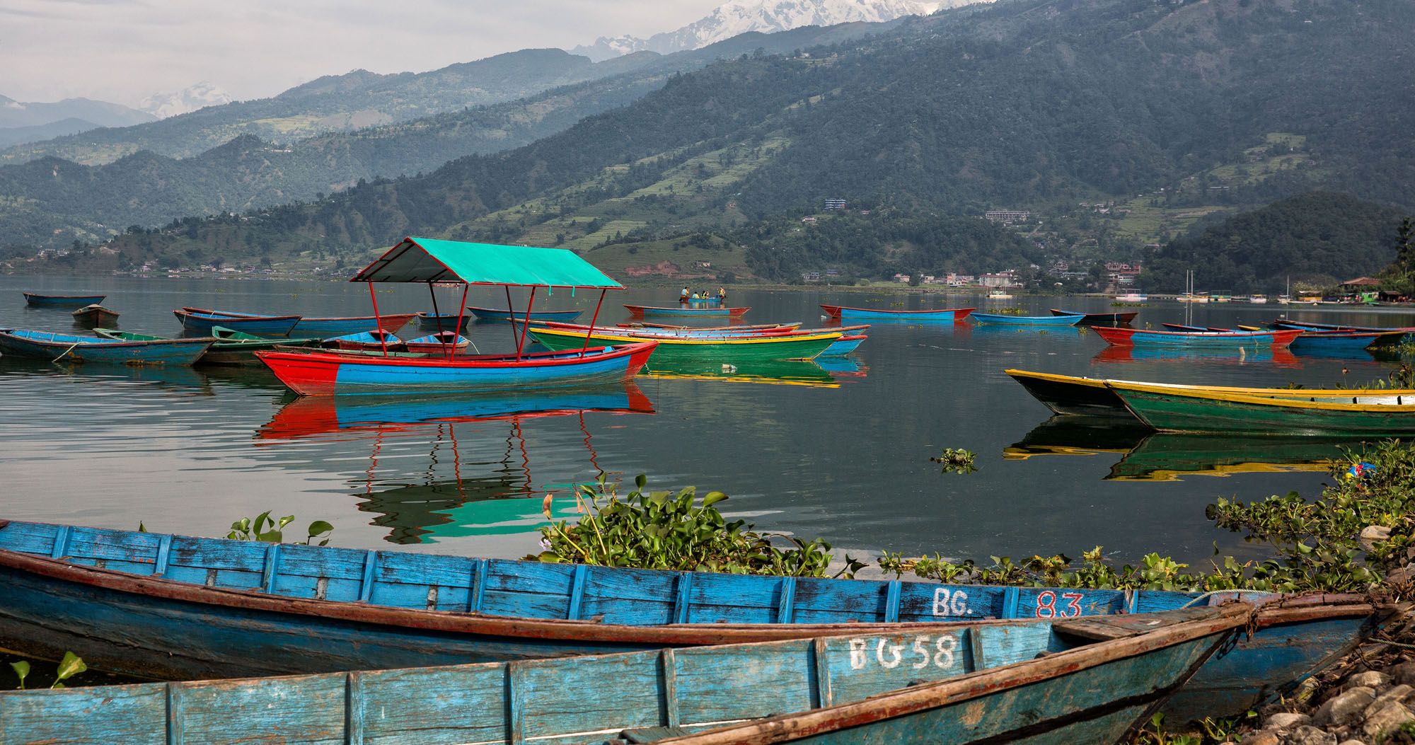 Featured image for “Do Roosters Crow in the Rain? Our Story from Pokhara, Nepal”