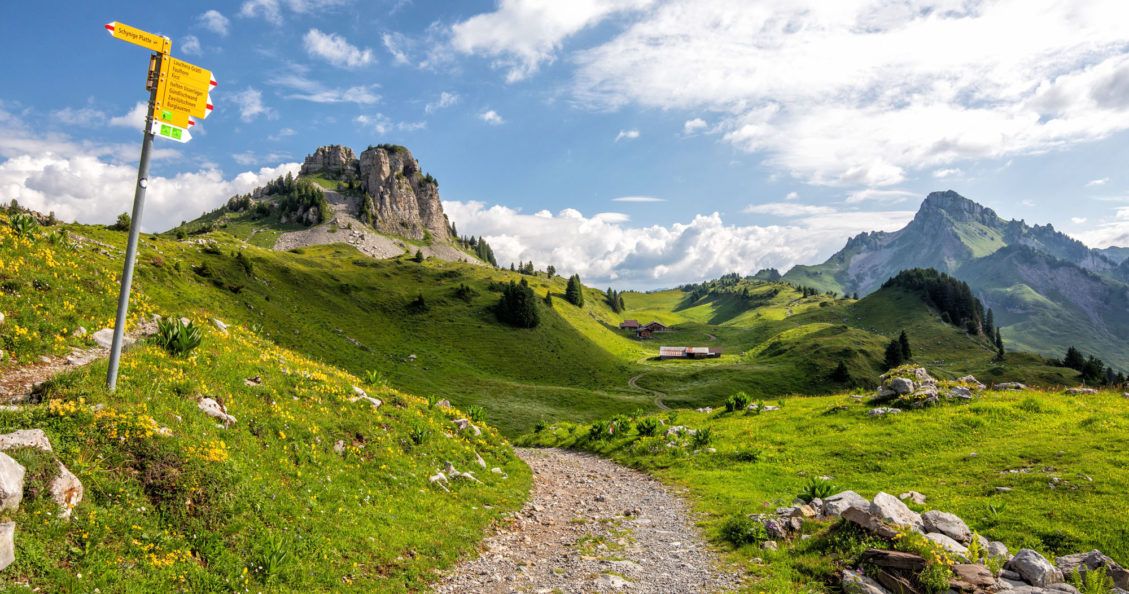 Schynige Platte to Faulhorn to First