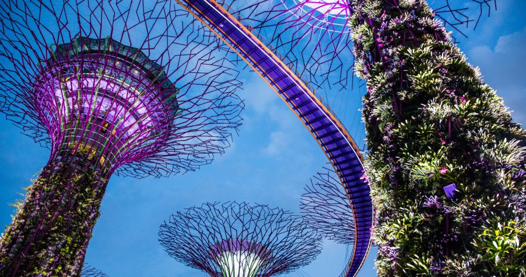 Things to do in Singapore