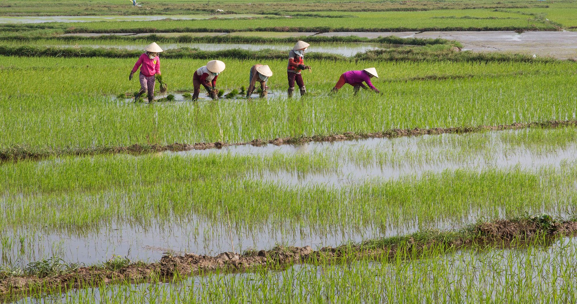 Featured image for “12 Must-Have Experiences in Vietnam”