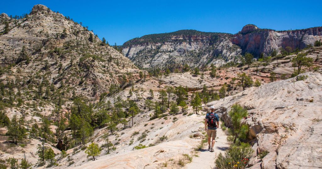 West Rim Trail Zion