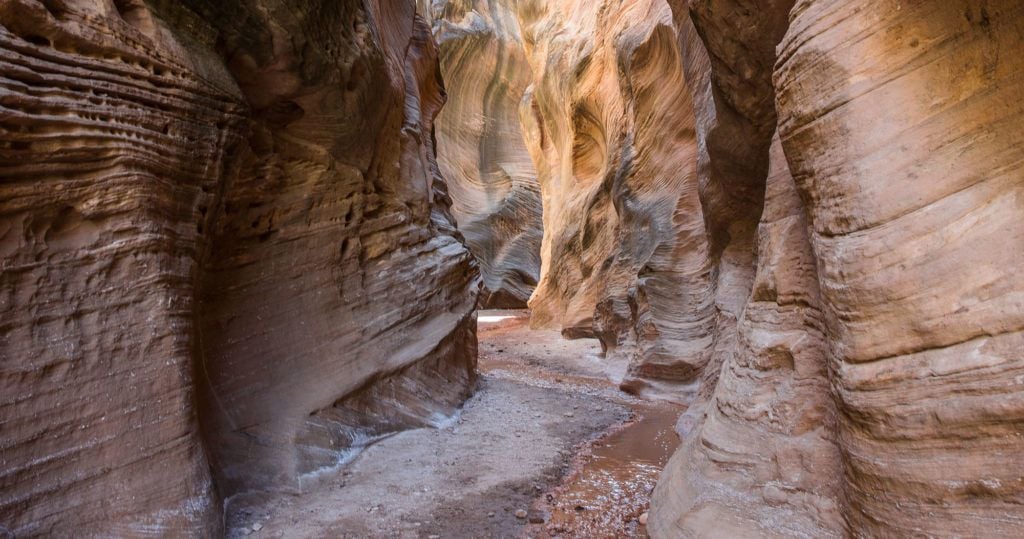 Willis Creek