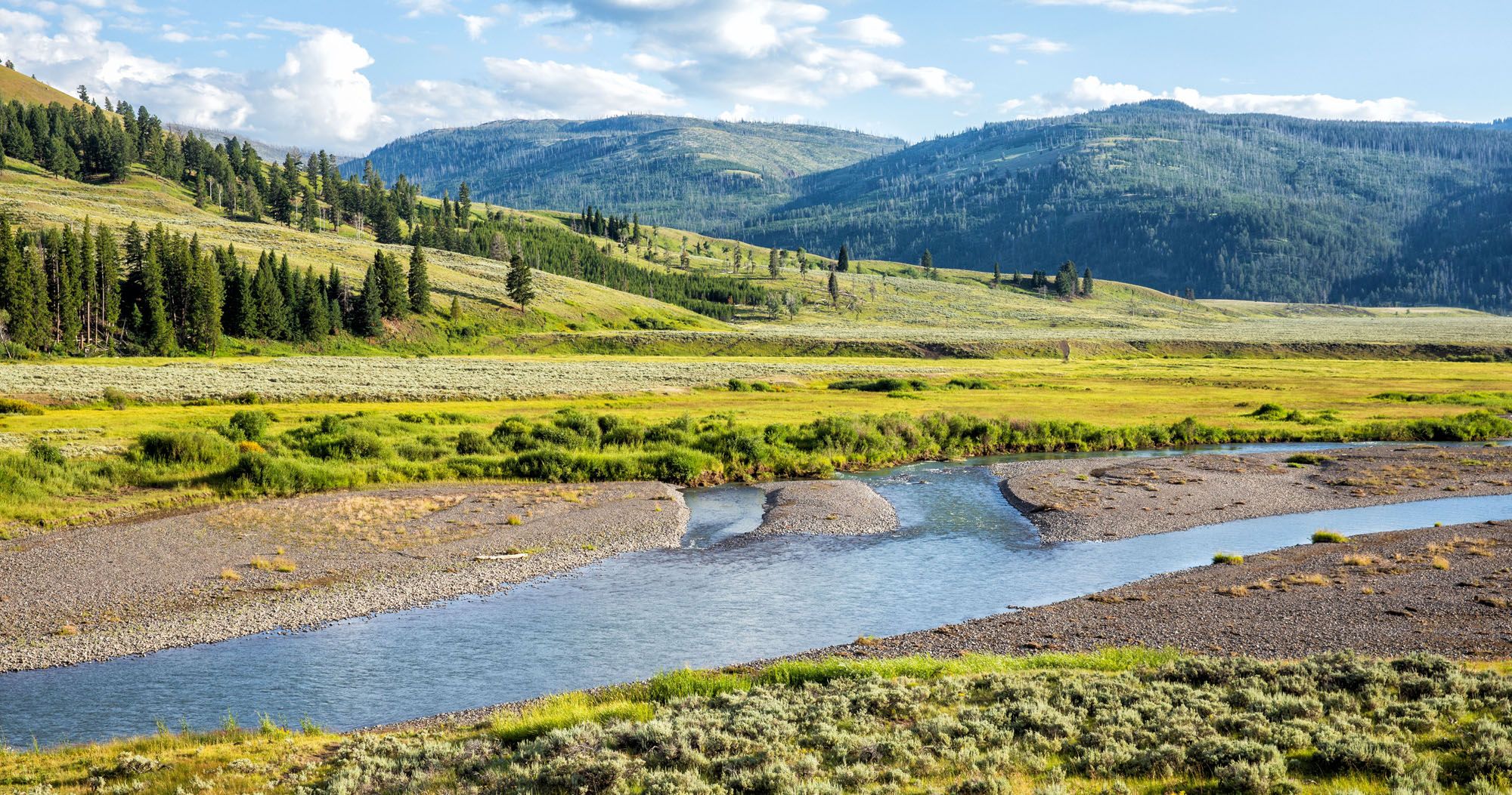 Featured image for “Yellowstone Itinerary: Best Way to Spend 1 to 5 Days in Yellowstone”