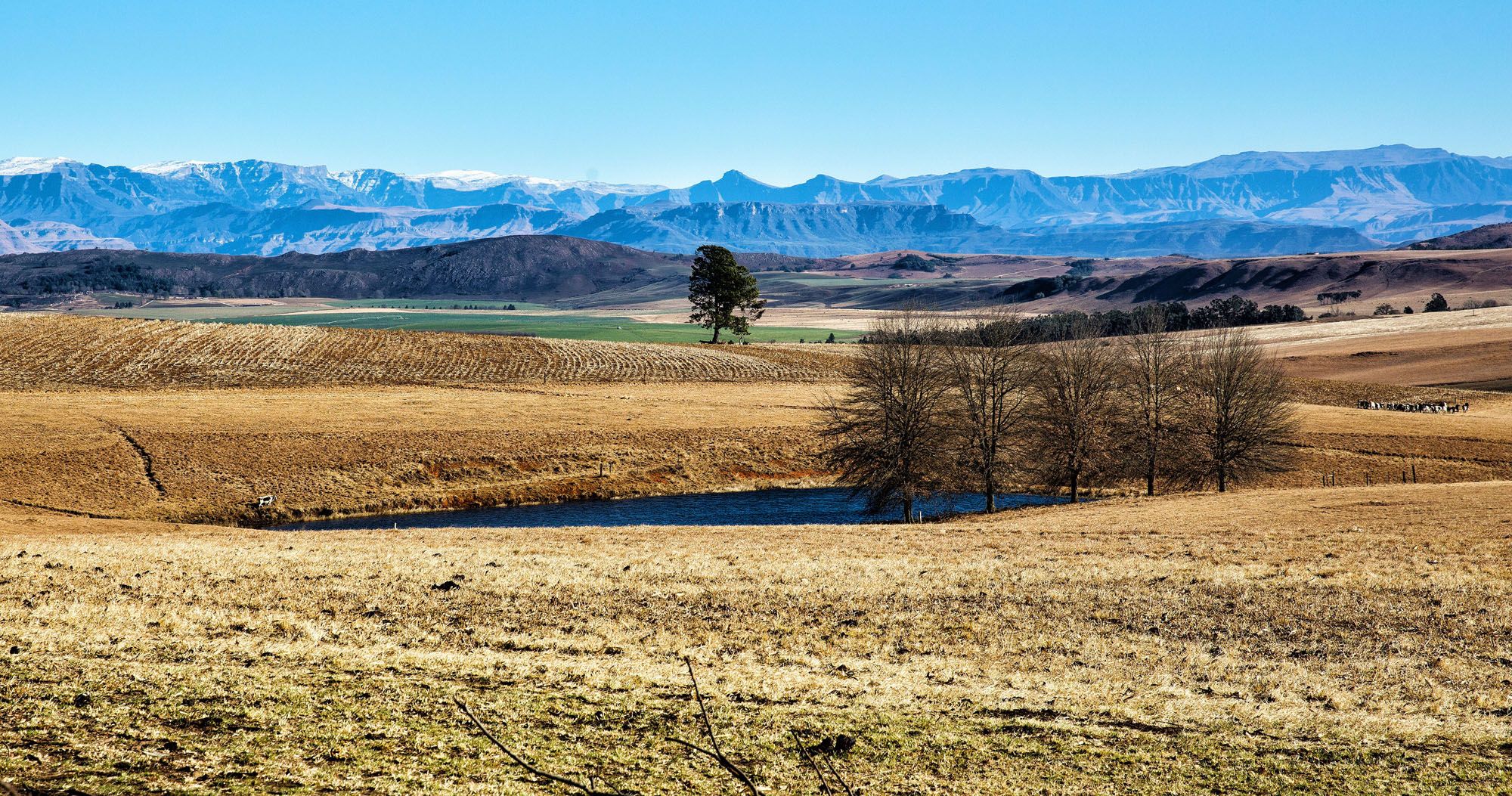 Drakensburg