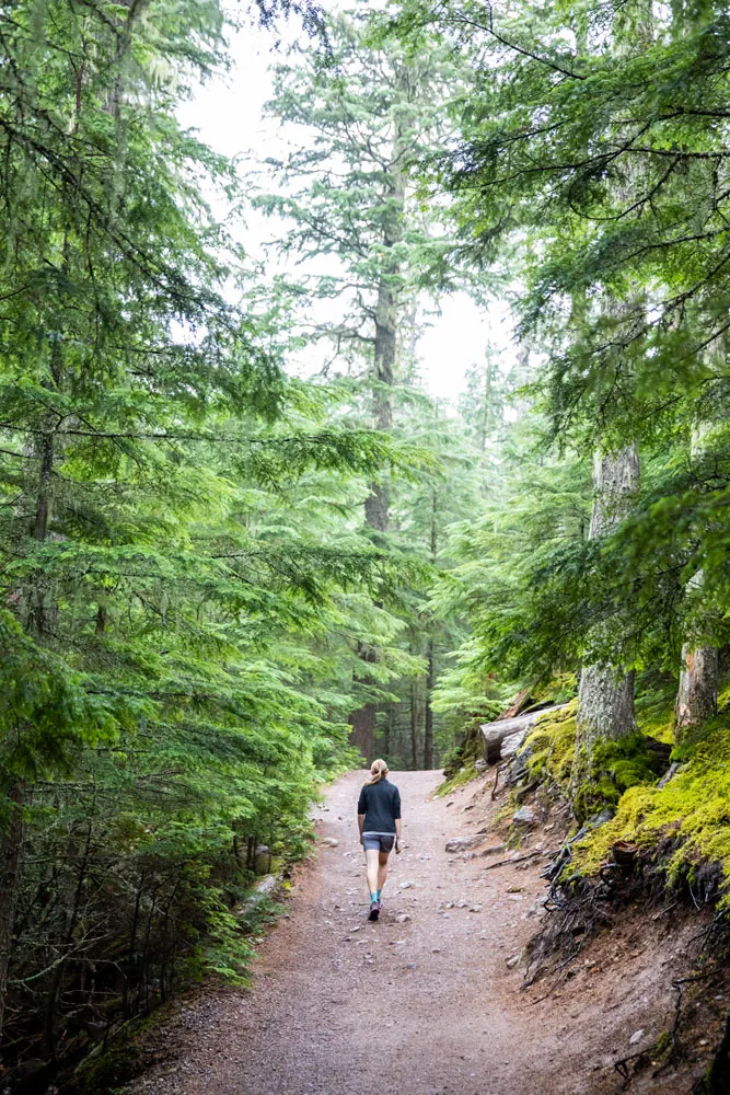 Glacier National Park Hike