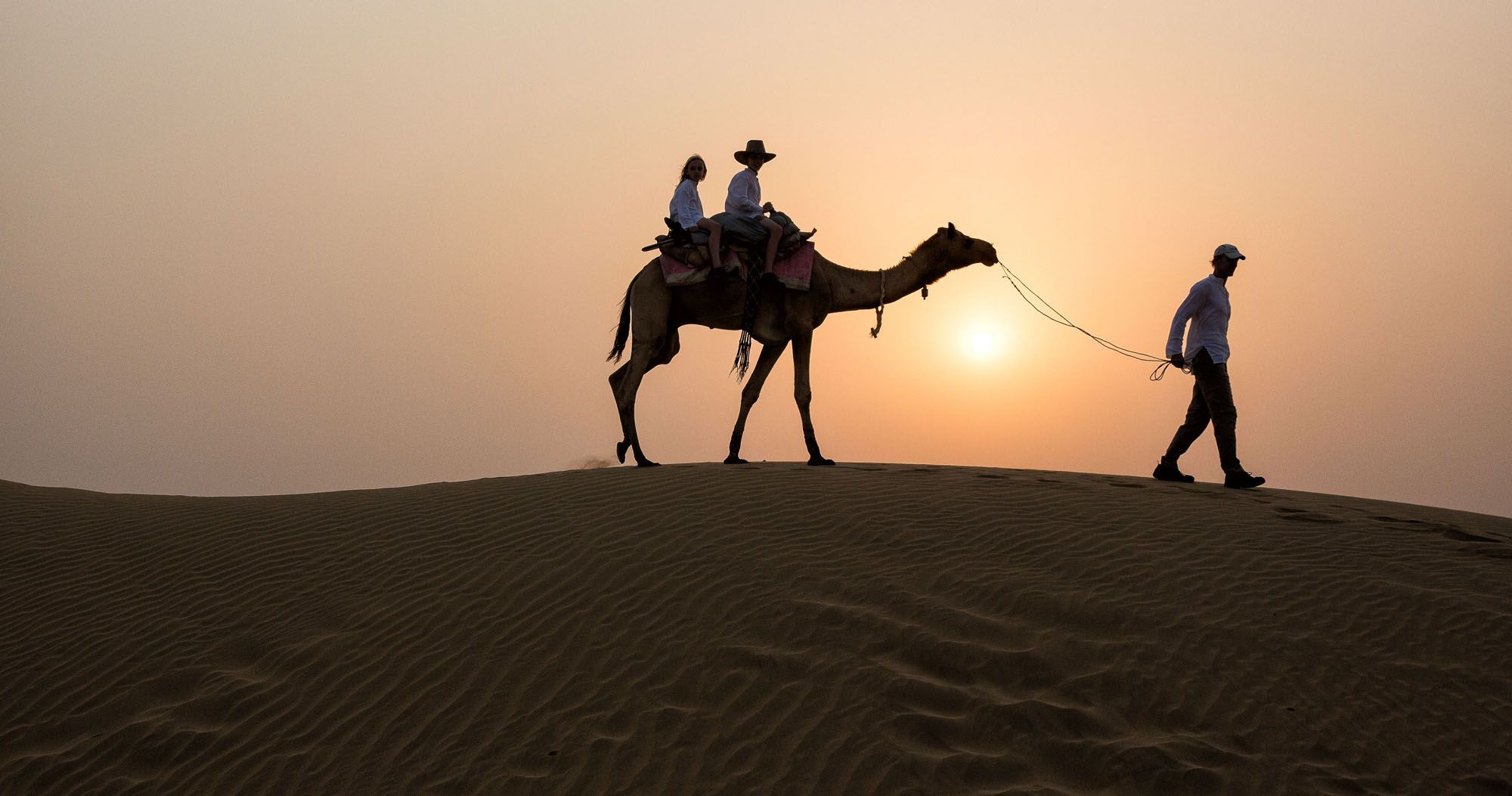 India Camel Safari