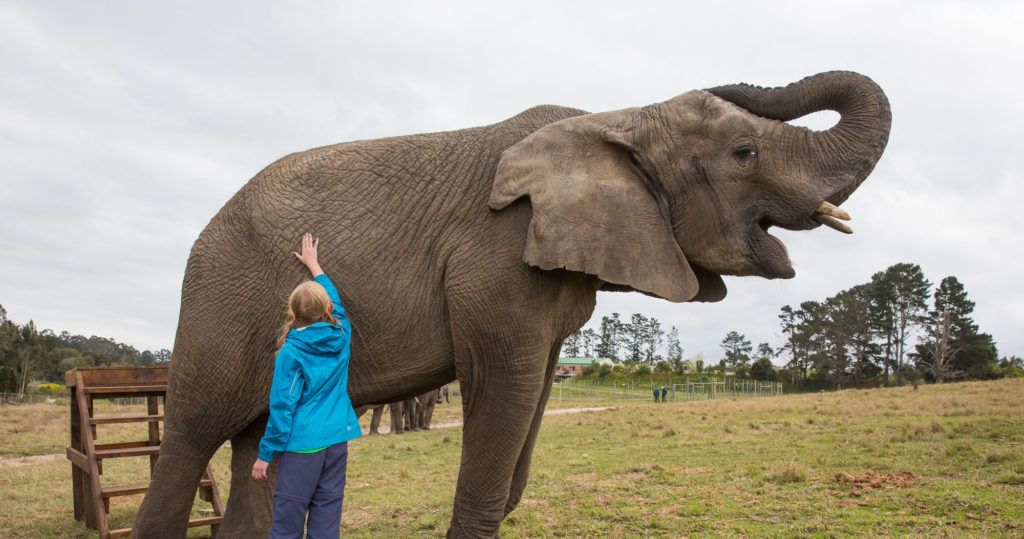 Kara with an Elephant