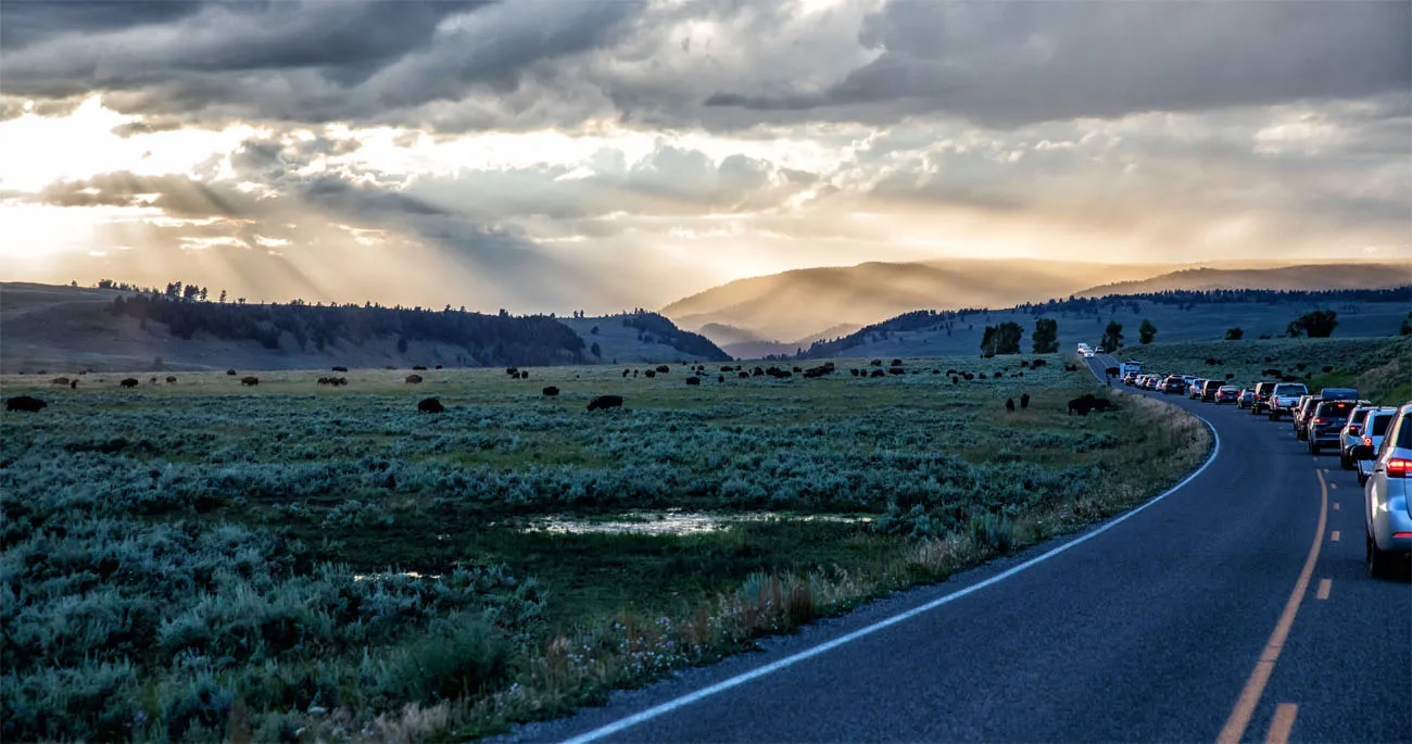 Lamar Valley Sunset