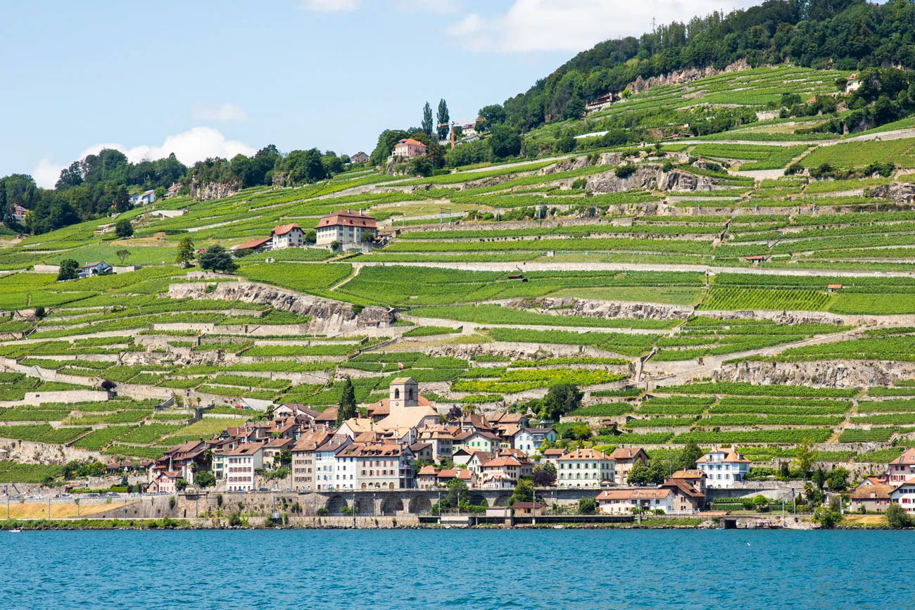 Lavaux Vineyards