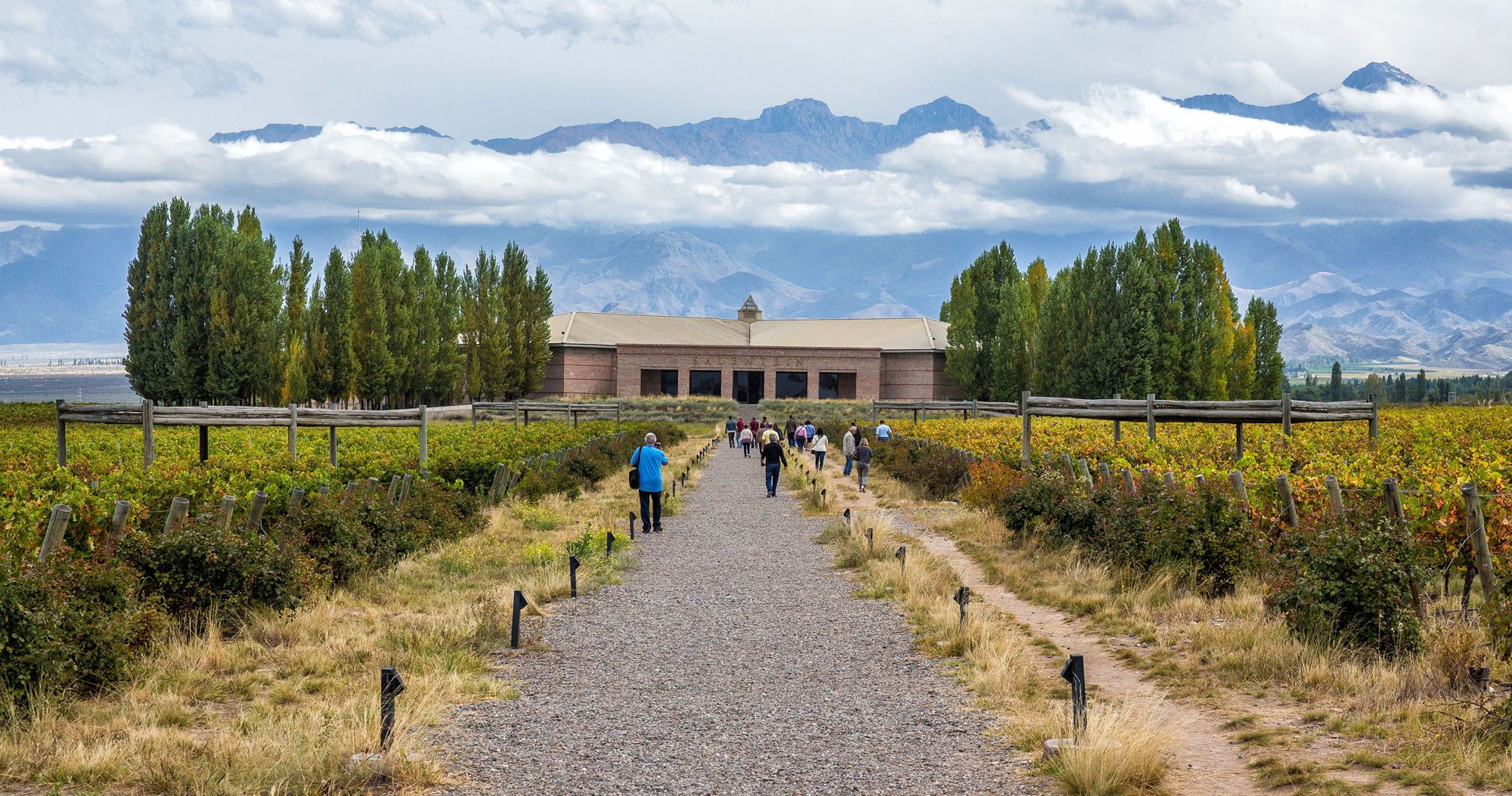 Mendoza Wine Region