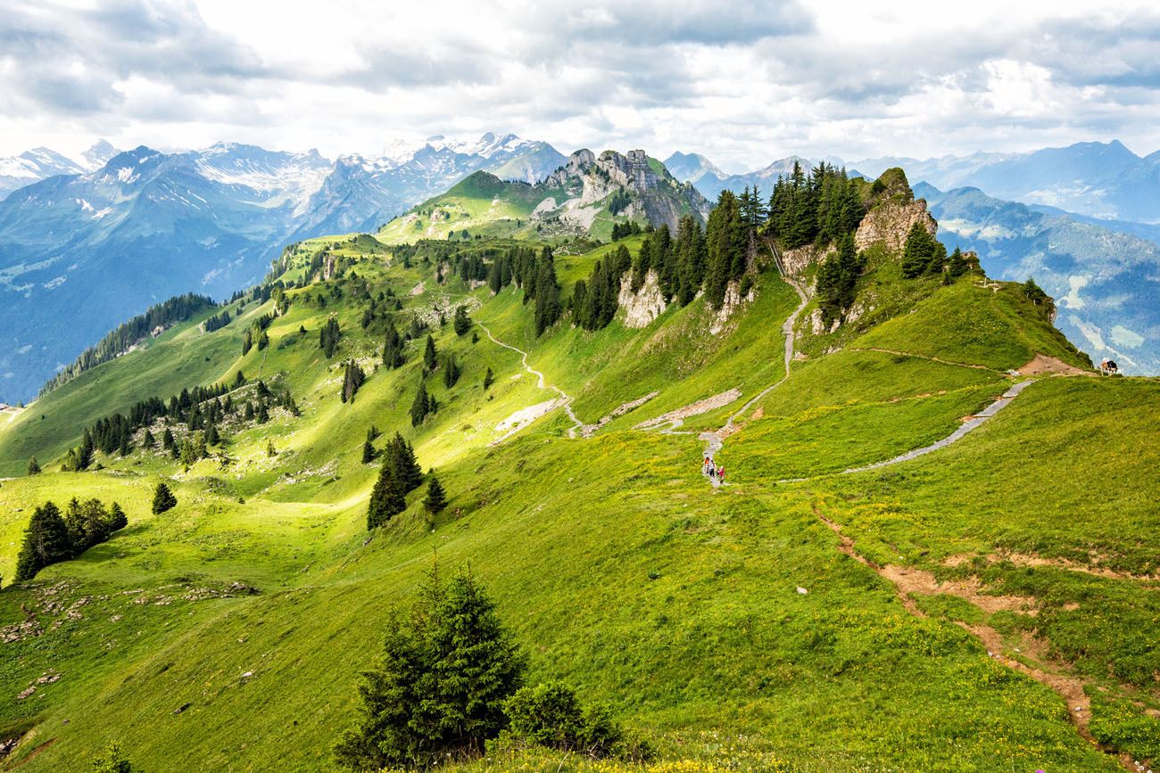 Panorama Trail Schynige Platte day trips from Lausanne