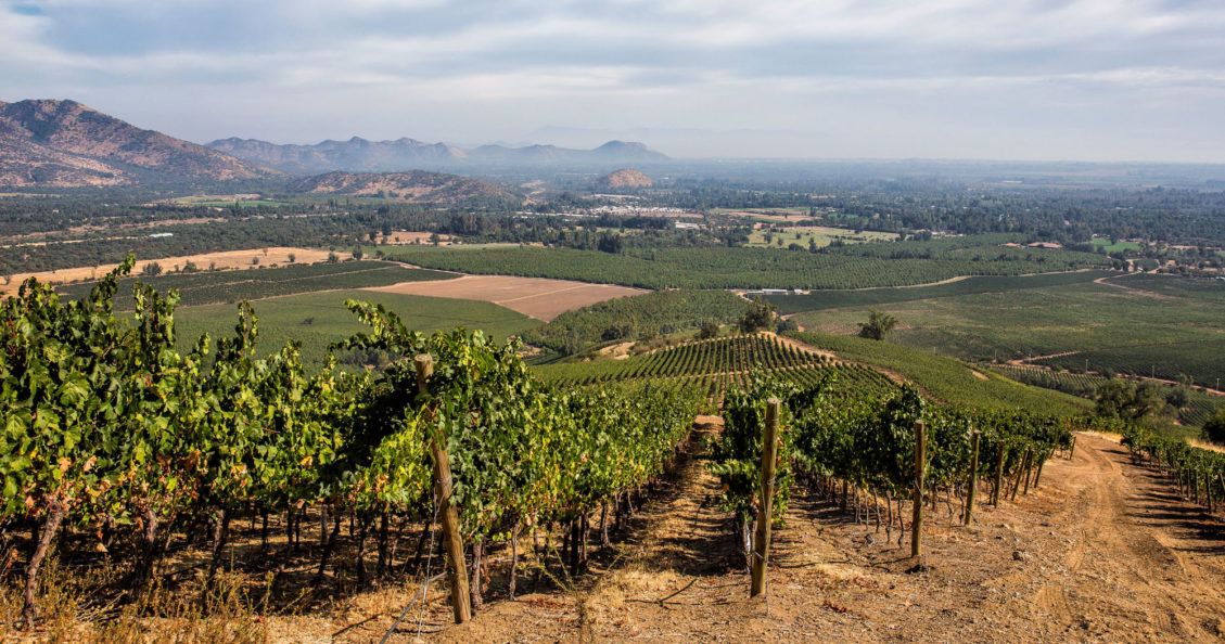 Santiago Wine Region