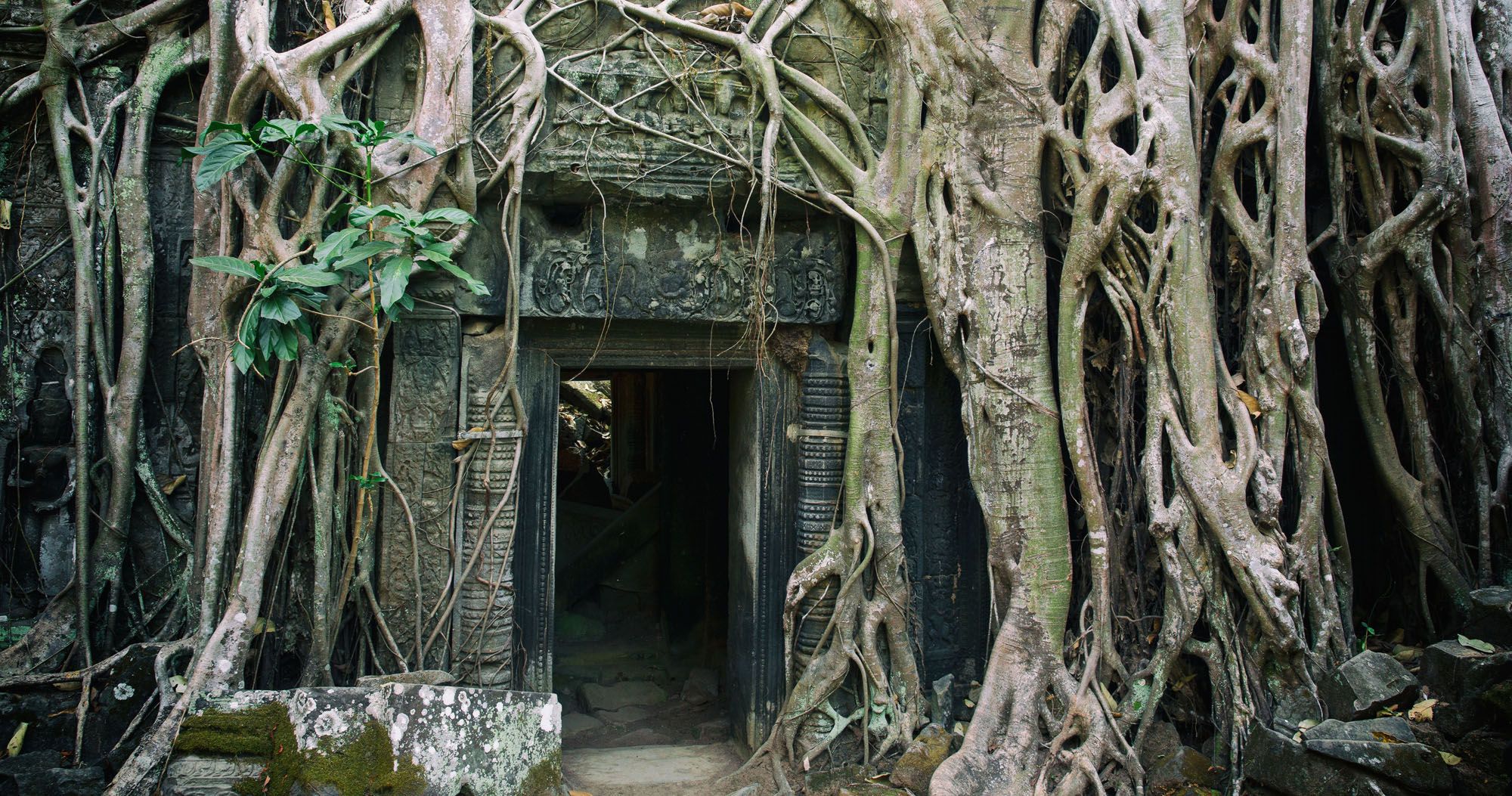 Ta Prohm