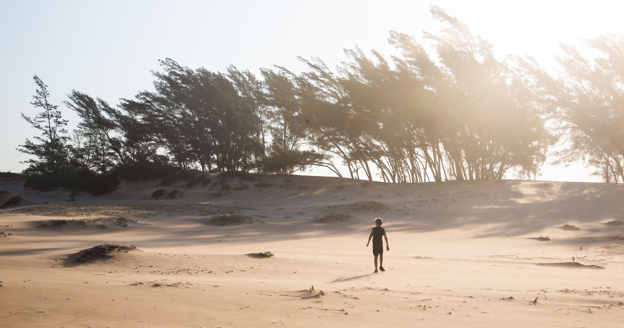 Featured image for “Awesome iSimangaliso Wetland Park in St. Lucia, South Africa”