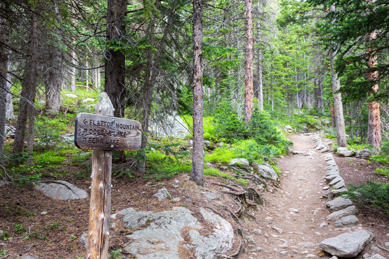 Hike to Fern Lake