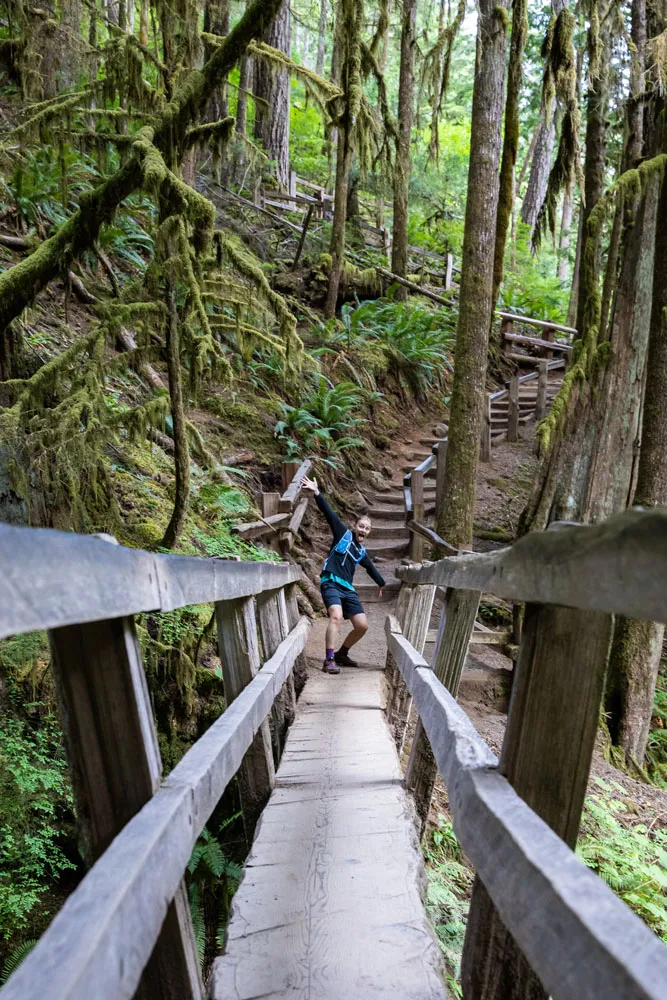 Log Bridge Marymere Falls