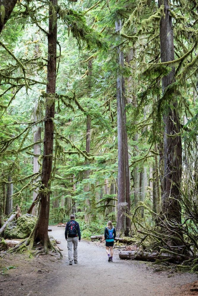 Olympic Hiking Trail