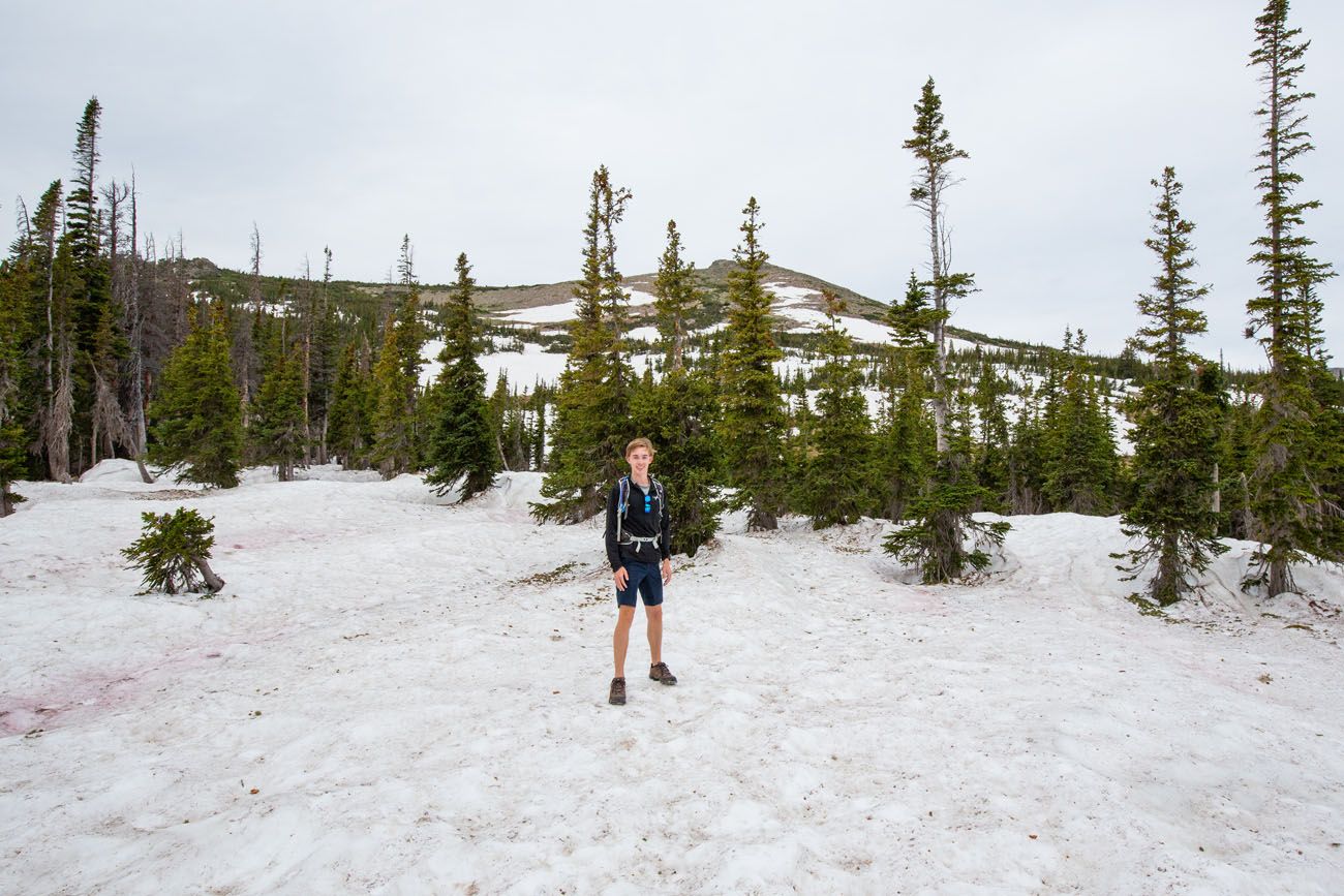 Snow Field