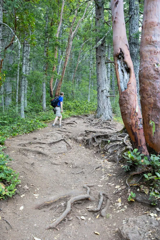 Trail to Storm King