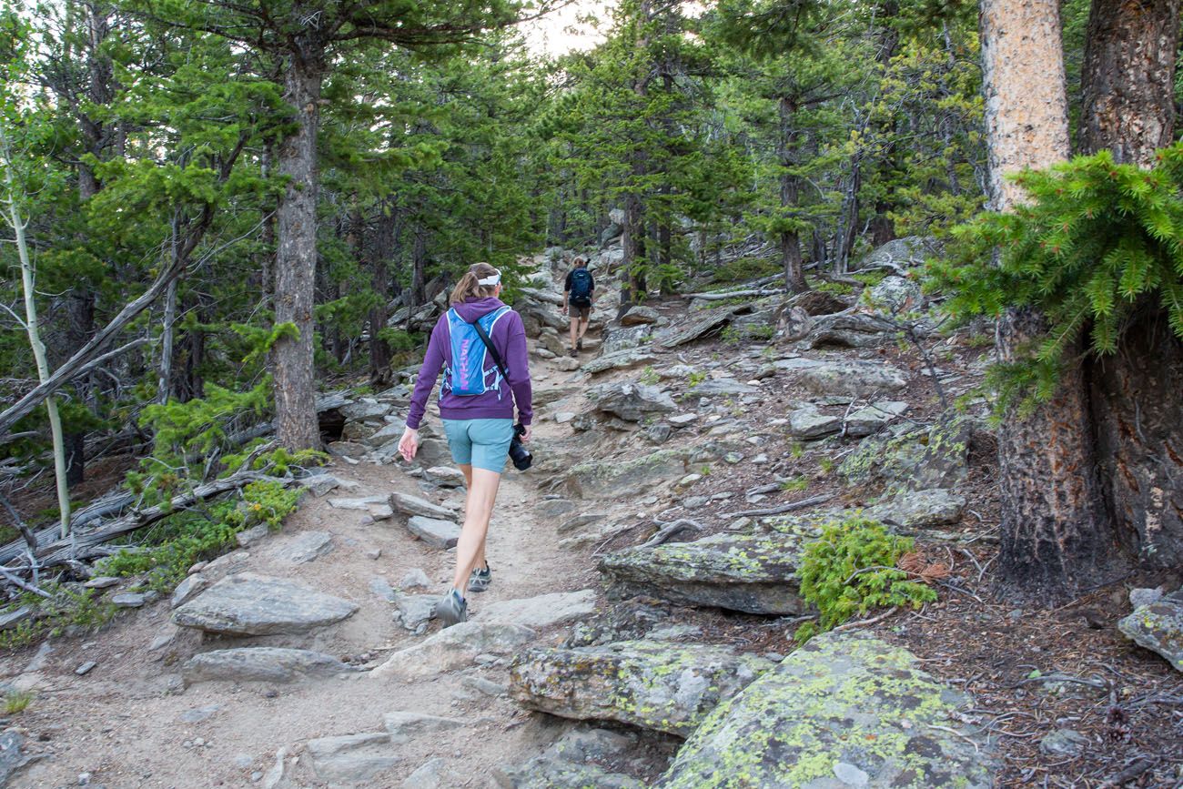 Deer Mountain Trail