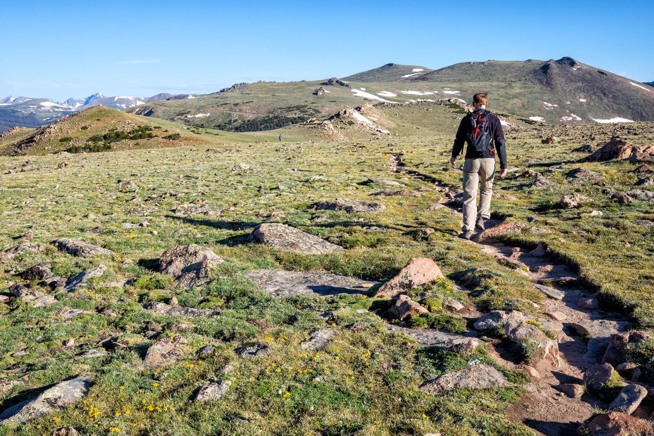 Hike Ute Ridge | Best Hikes in Rocky Mountain National Park