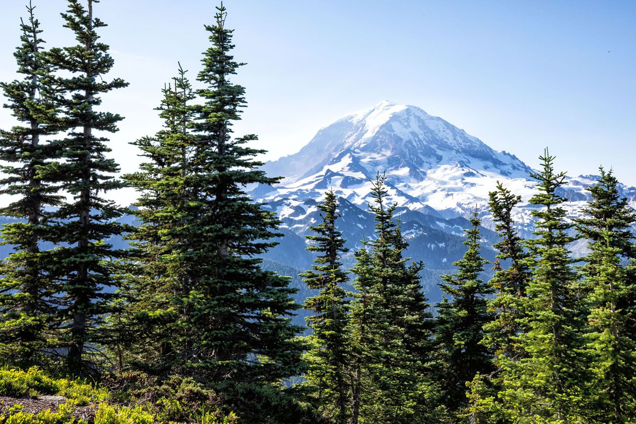 Mt Rainier Washington