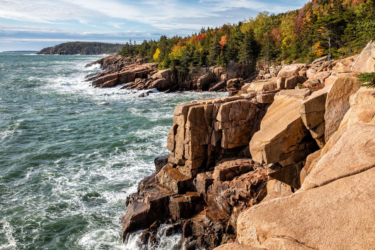 Acadia Coastline