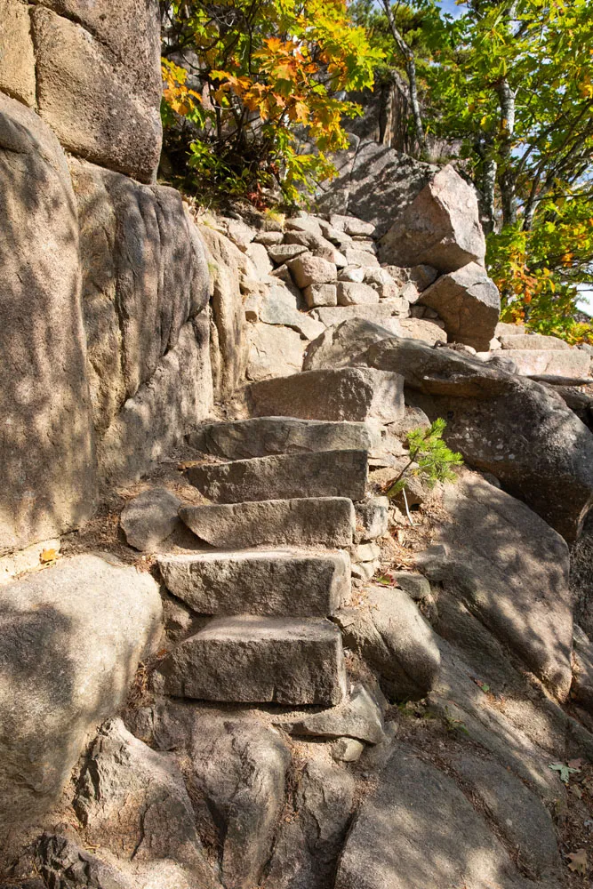 Beehive Trail Steps