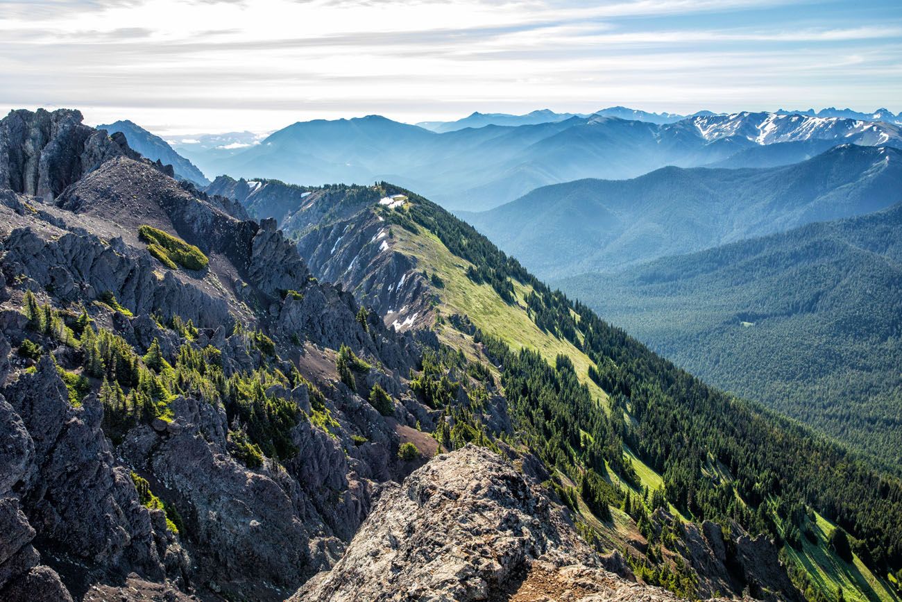 Best Hike Olympic National Park