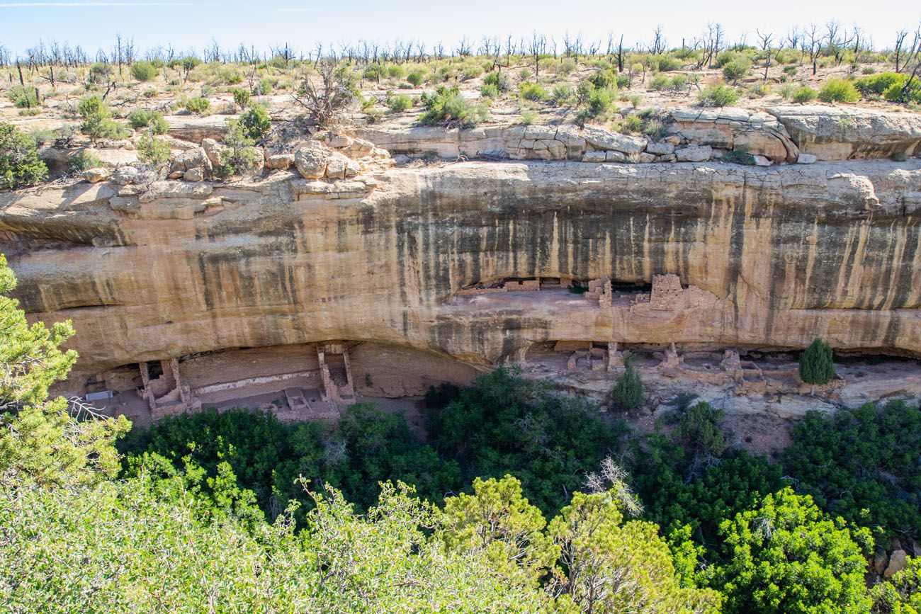 Fire Temple Mesa Verde