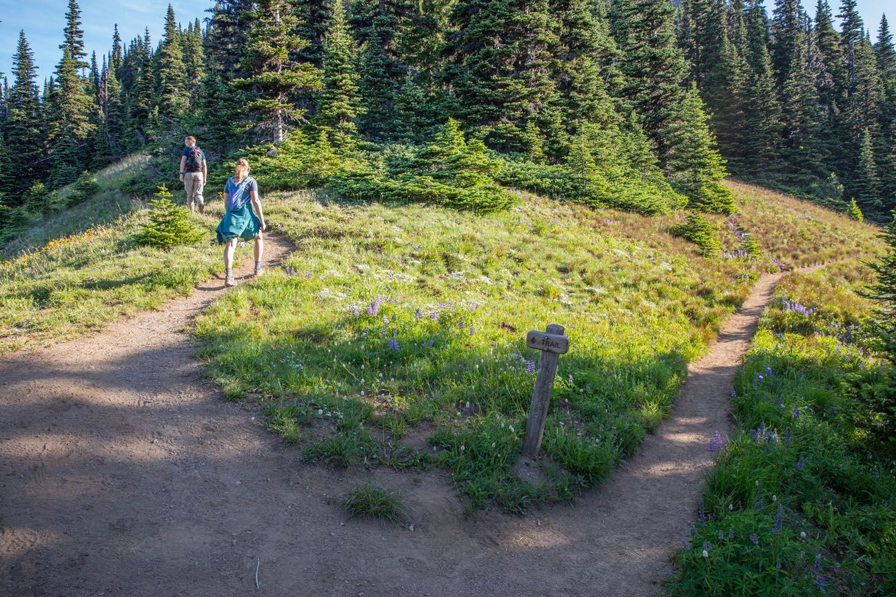 Fork in the Trail