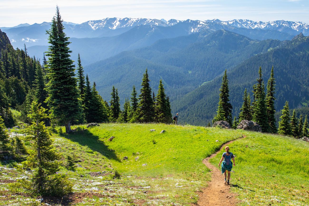 Kara in Olympic NP