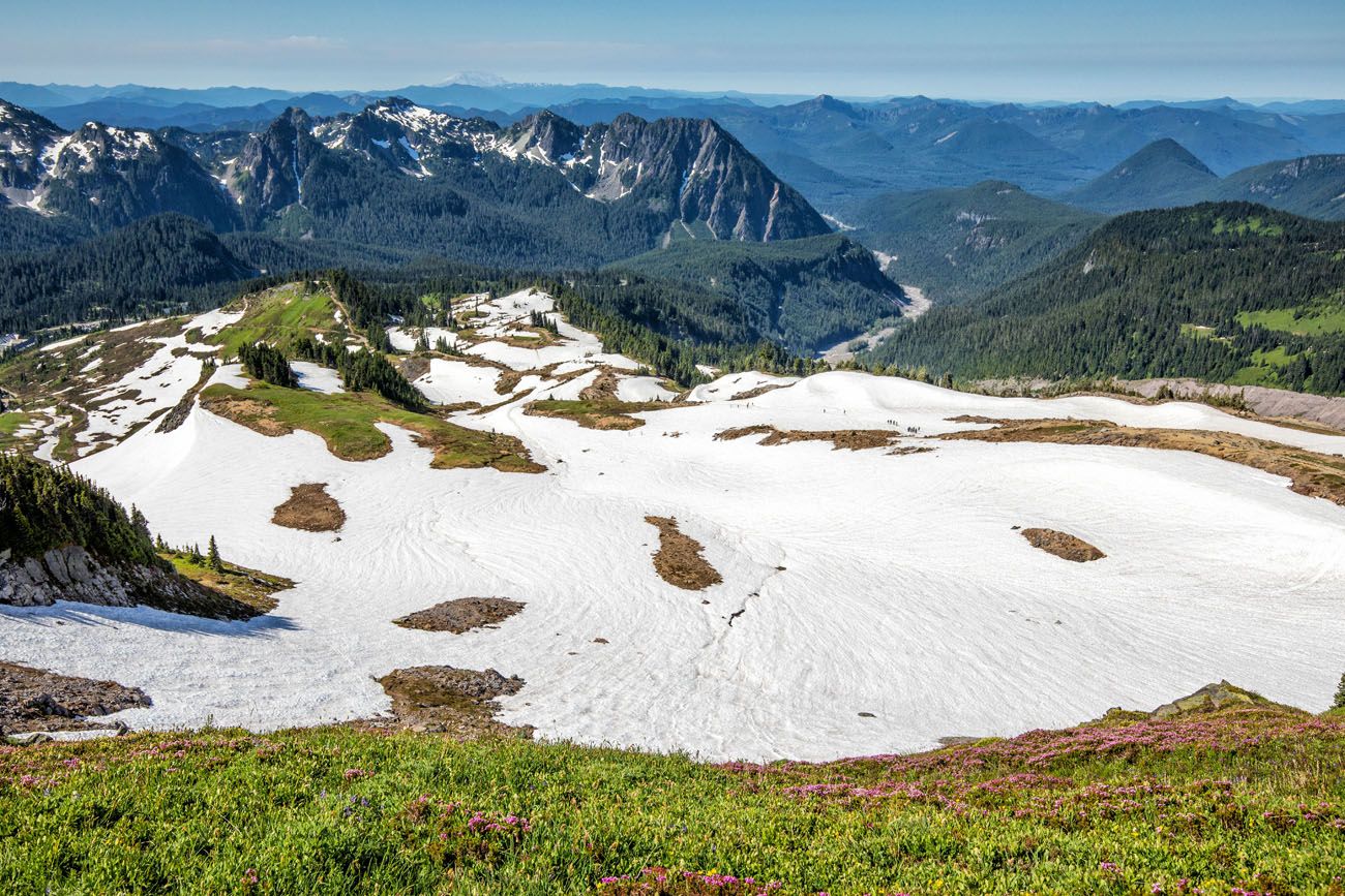 Mt Rainier Paradise