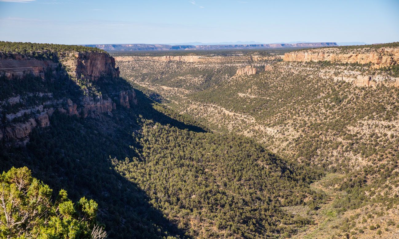 Navajo Canyon View