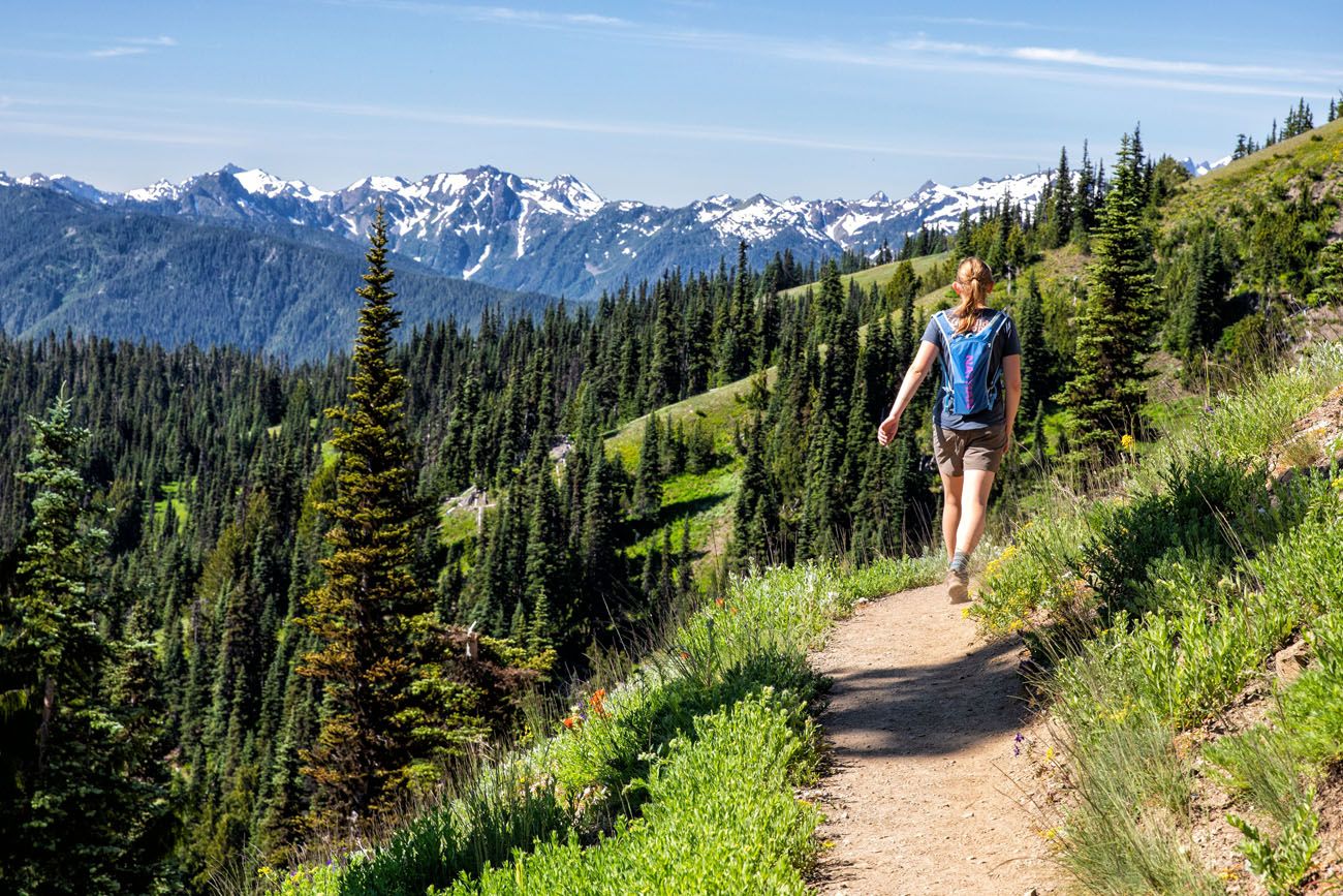 Olympic National Park Hike