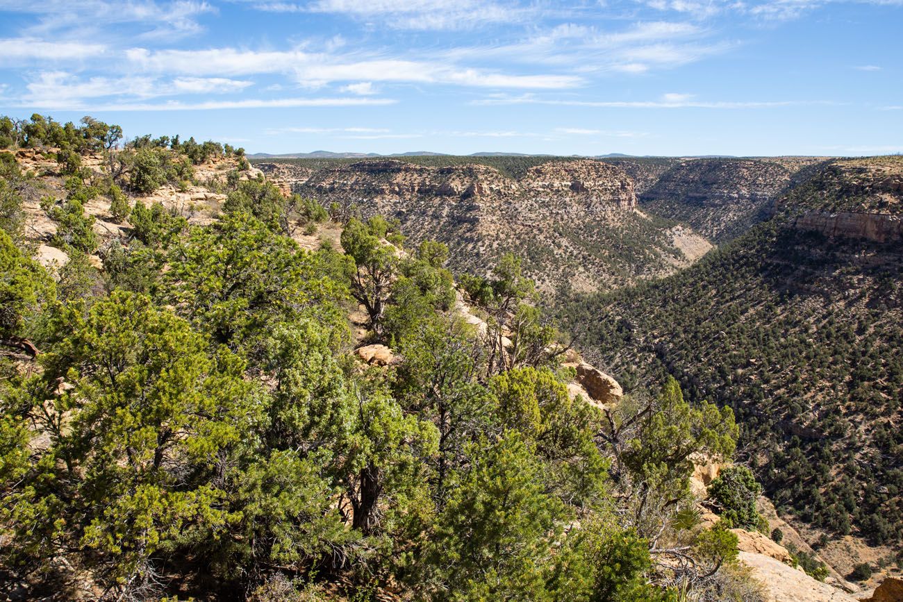 Soda Canyon Mesa Verde