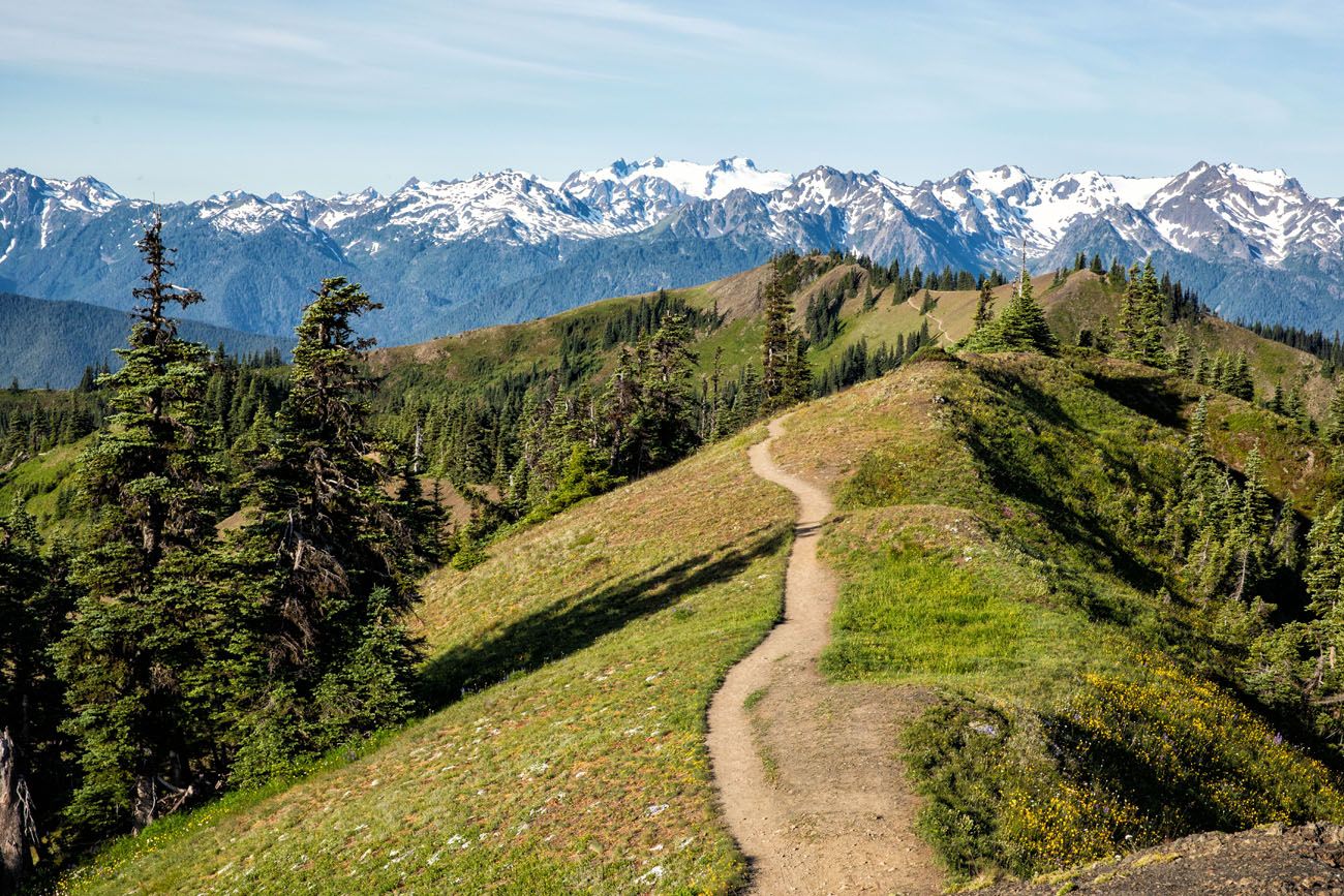 Sunrise Point Trail Olympic