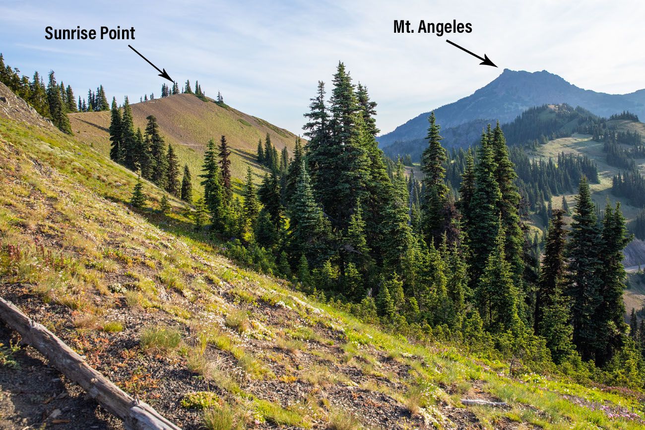 Sunrise Point and Mt. Angeles