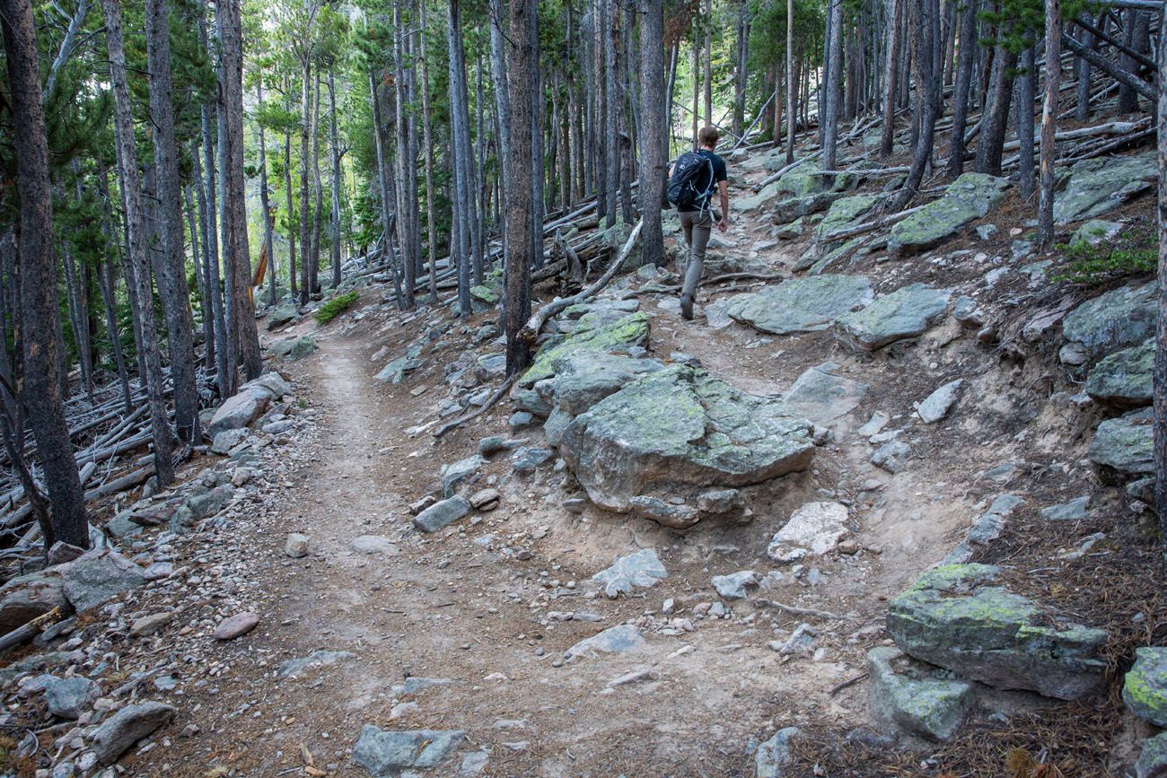 Switchback Trail