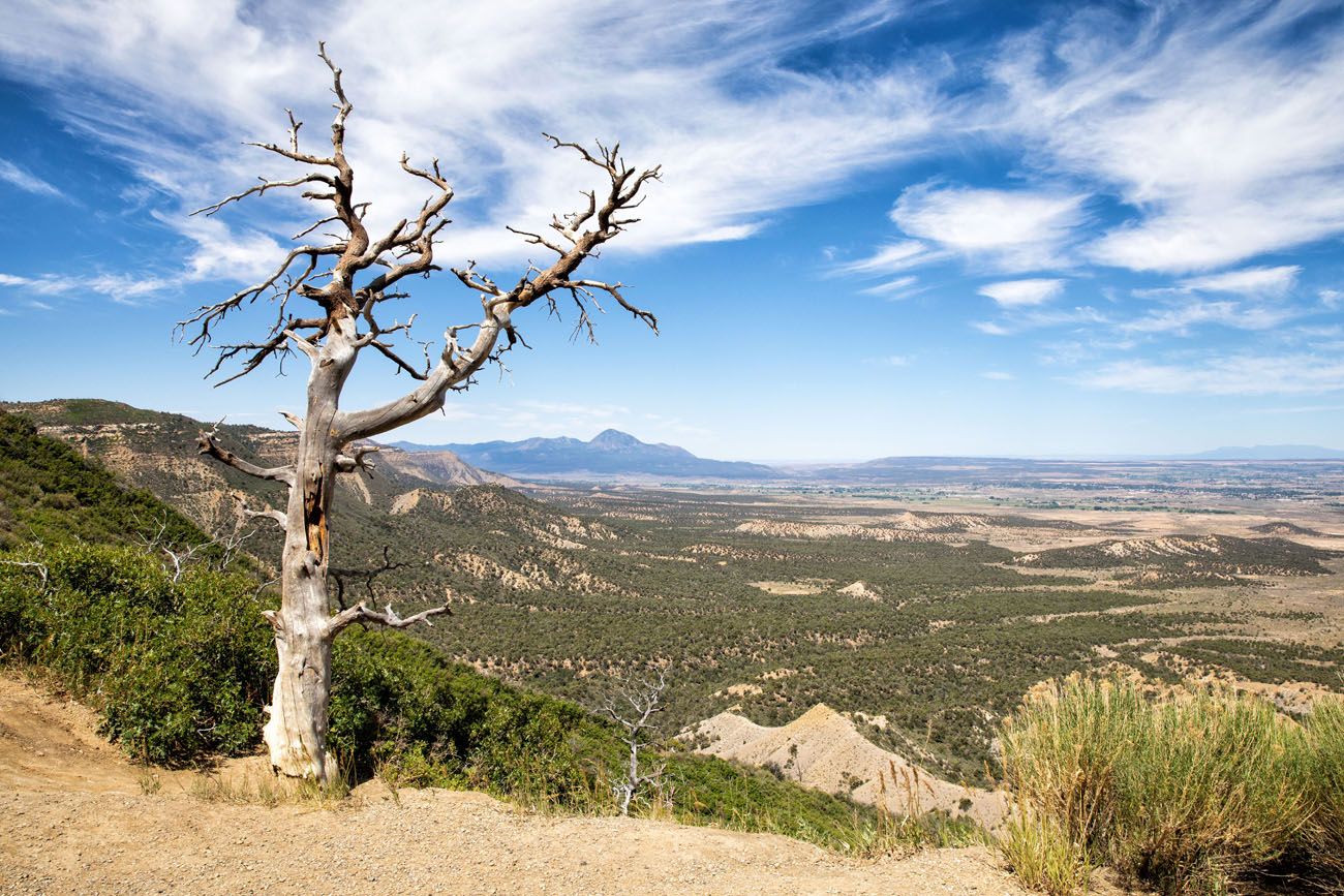 Things to do in Mesa Verde