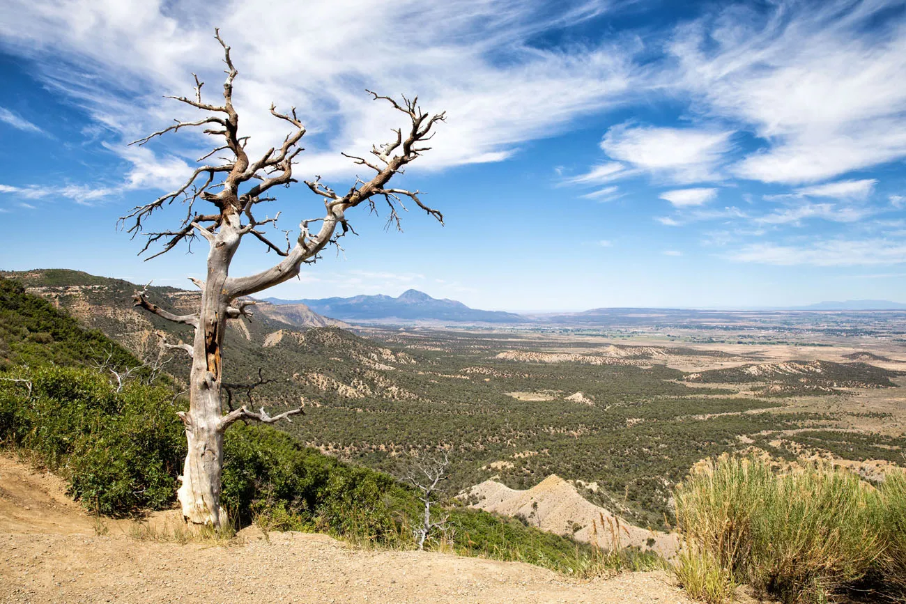 Things to do in Mesa Verde