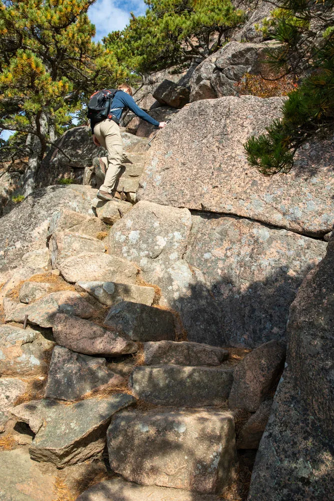 Tim Beehive Steps