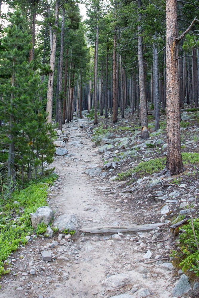 Trail Twin Sisters